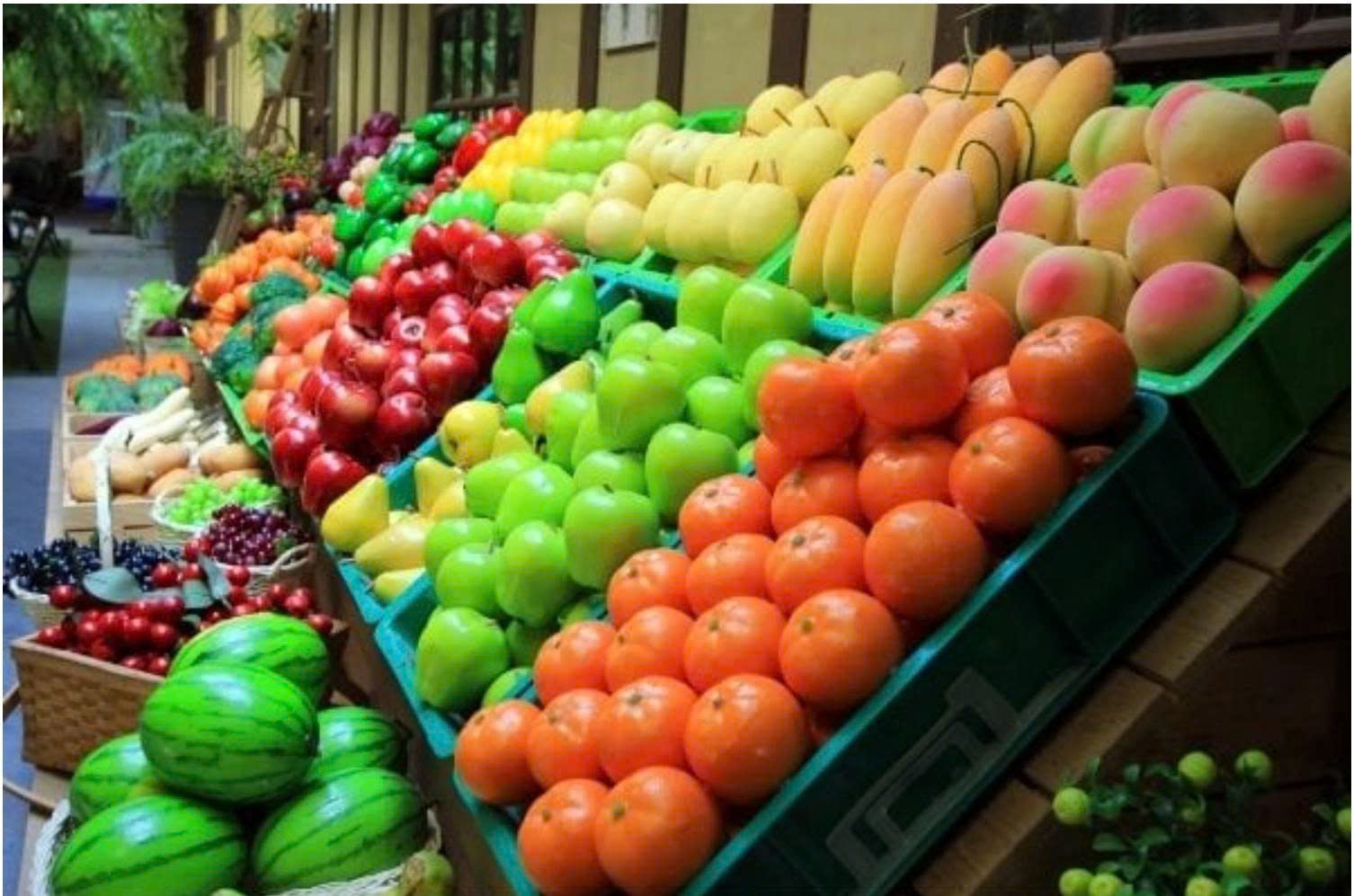 Trusted Company for Shipping & Customs Clearance of Farm Produce Exports to Japan