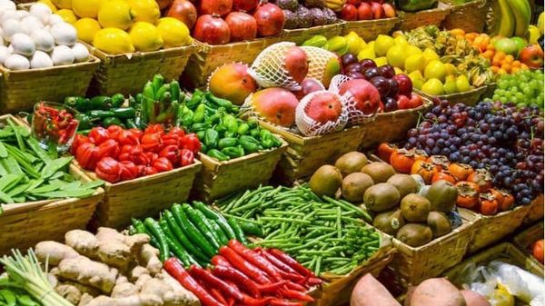 Trusted Company for Shipping & Customs Clearance of Farm Produce Exports to Japan