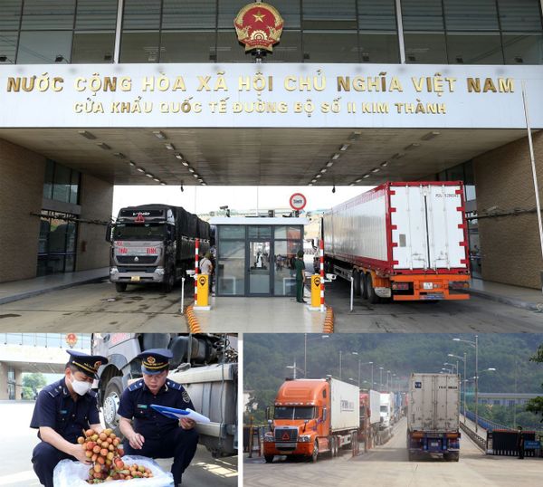 Trusted Company for Shipping & Customs Clearance of Farm Produce Exports to Japan