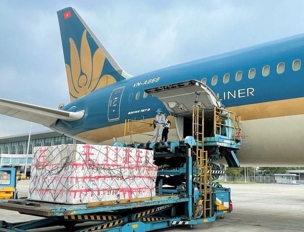 US–Vietnam Air Freight from Every Airport in the USA