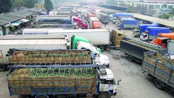 Trusted Company for Shipping & Customs Clearance of Farm Produce Exports to Japan