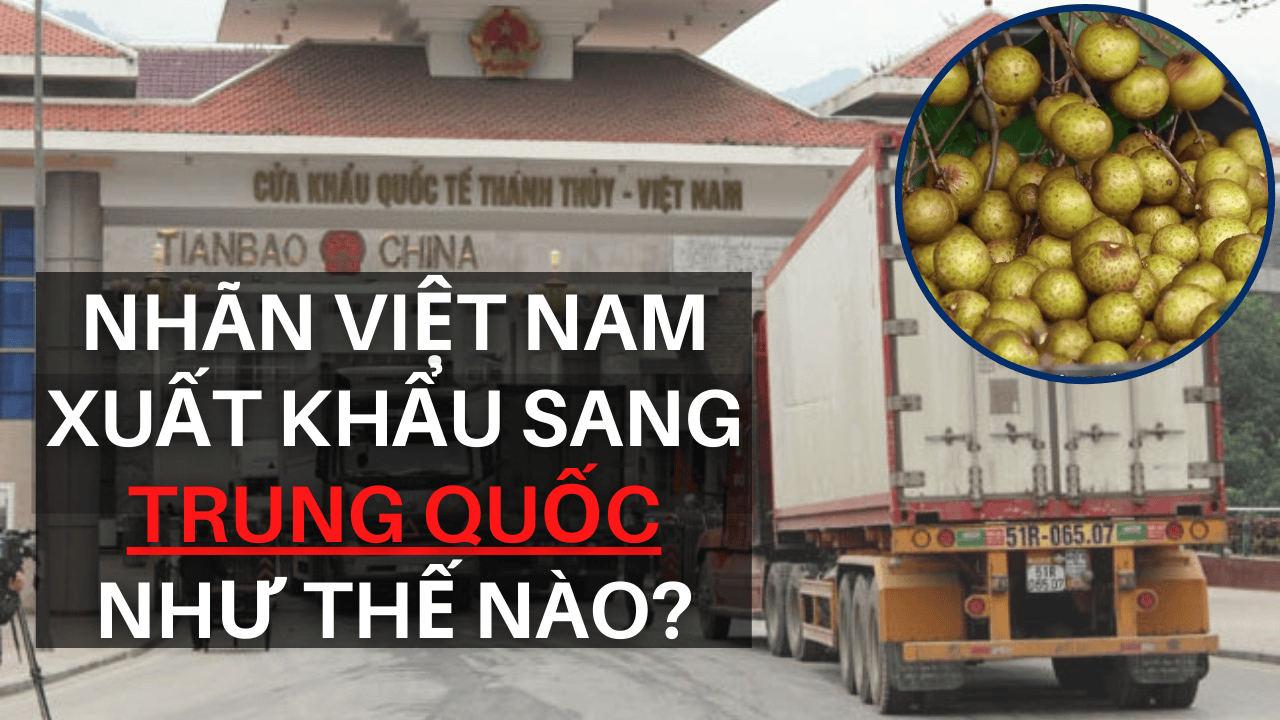 Top Nguồn Hàng Trung Quốc Uy Tín Cho Doanh Nghiệp 2026