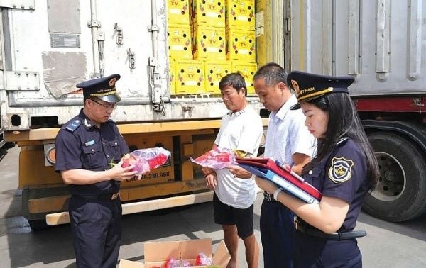 Outsourced import-export services