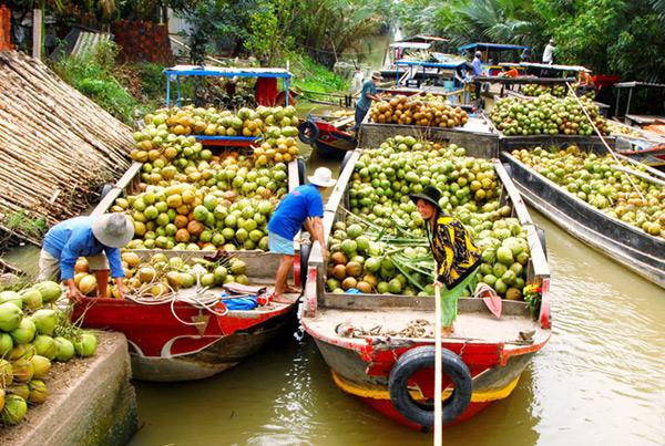 coconut for export to the US