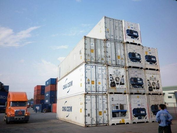 Top 6 Aziende di Trasporto Alimenti Surgelati e Cold Chain