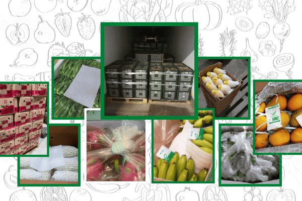 preserving fruit for official export to China