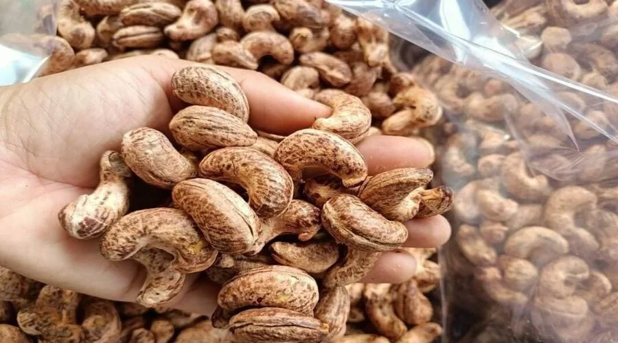 cashew nut exports (1) cashew nut exports (1)