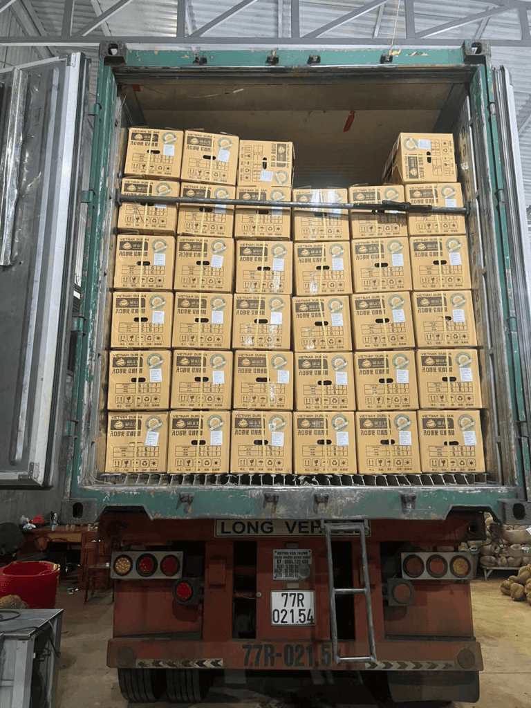 durian officially exported to China (1)