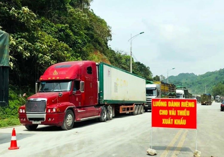 [GIỚI THIỆU] Dịch Vụ Xuất Khẩu Vải Thiều Chính Ngạch Đi Trung Quốc