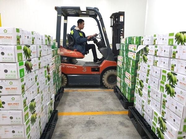 Top 5 Aziende di Trasporto di Prodotti Agricoli