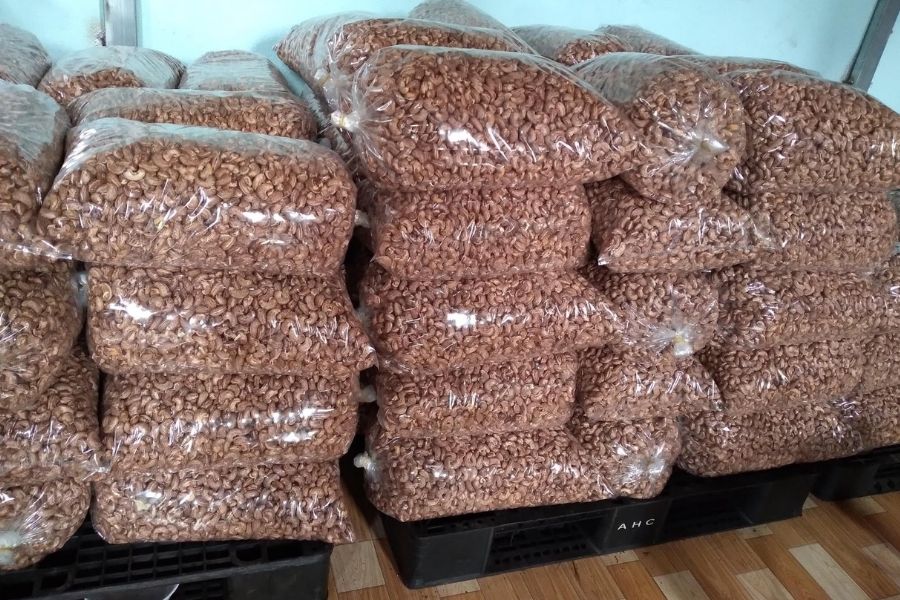 cashew nut exports (3) cashew nut exports (3)