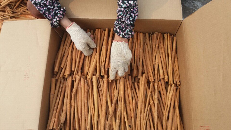 cinnamon export (5)