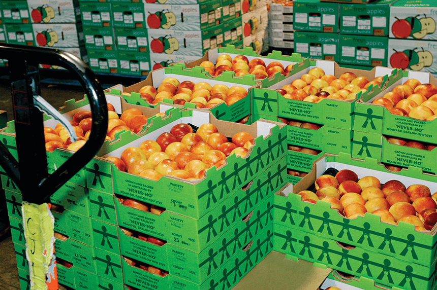 exporting fruit to Russia (1)