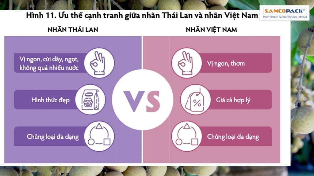Nhãn Việt Nam Xuất Khẩu Sang Trung Quốc Như Thế Nào?