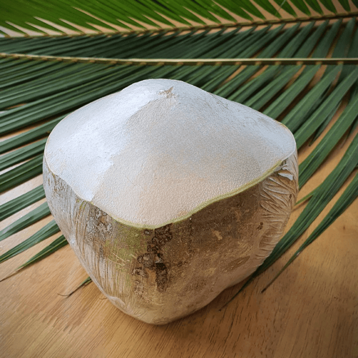 fresh coconut export (4)