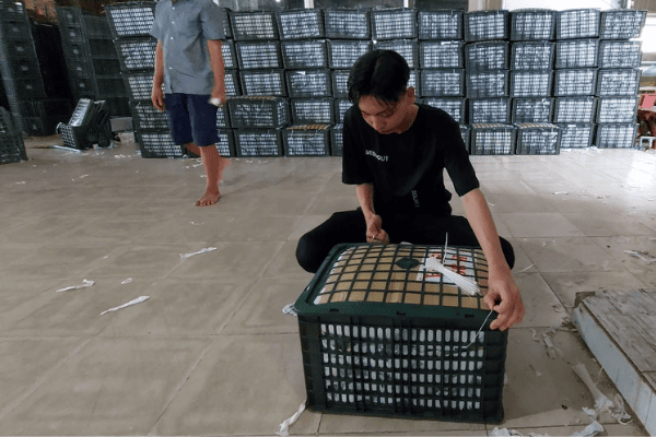Dịch Vụ Xuất Khẩu Hàng Hóa (Nông Sản) Chính Ngạch Sang Trung Quốc