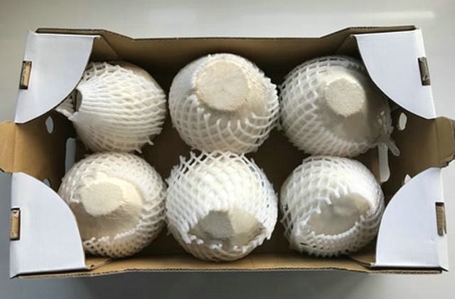 fresh coconut export (2)