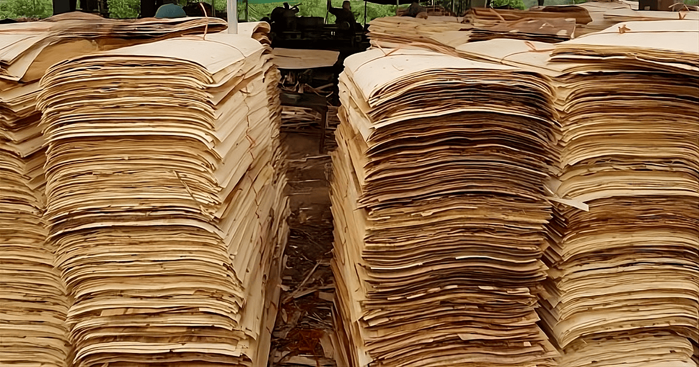 Rotary-Cut Veneer Export 2023: Standards, Classification & Procedures