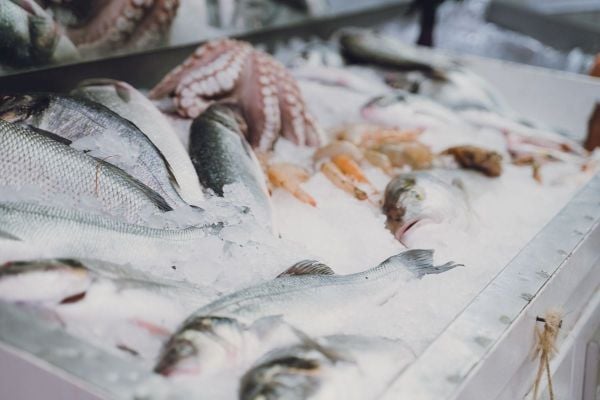 Top 6 Aziende di Trasporto Alimenti Surgelati e Cold Chain