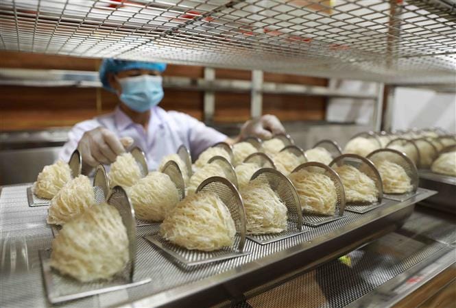 notes on officially exporting bird's nest to China
