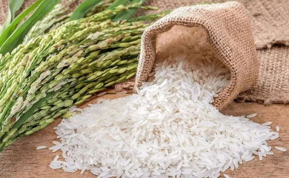 Rice export procedures (1)