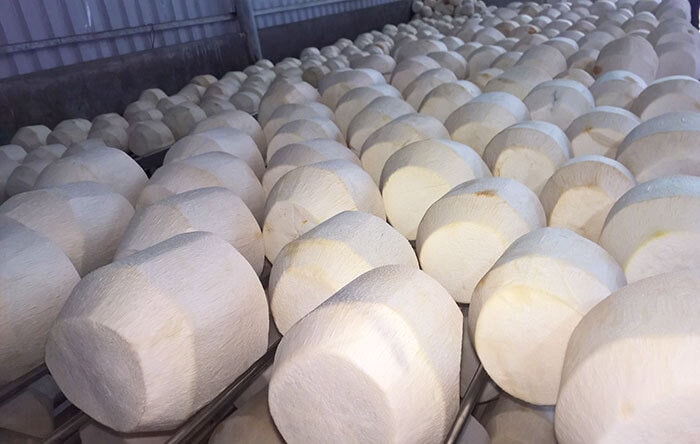 fresh coconut export (1)