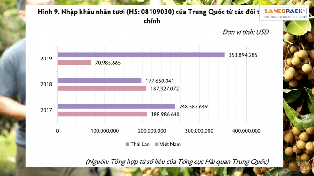 so sánh xuất khẩu nhãn vào trung quốc của việt nam và thái lan (1)