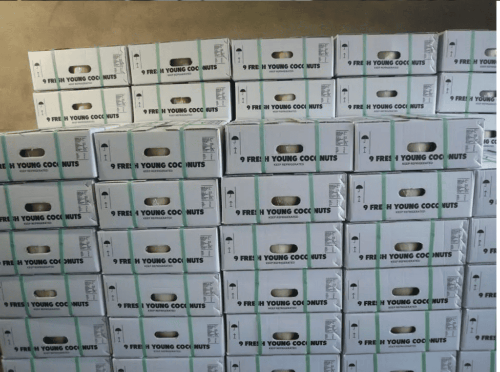 fresh coconut export (1)