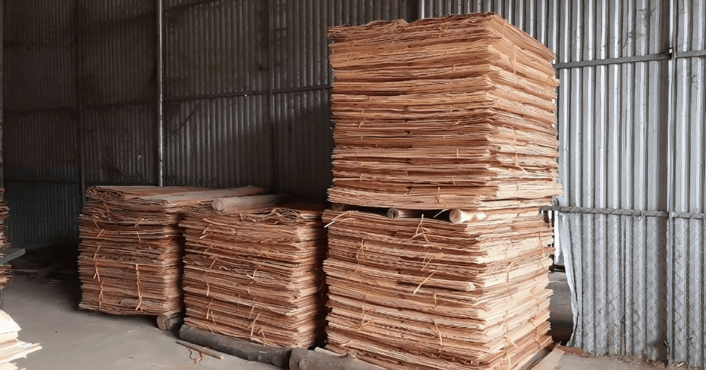 rotary-cut veneer (5)
