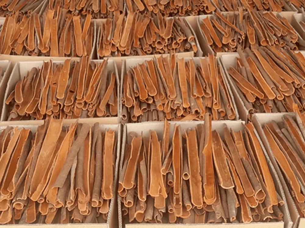 cinnamon export (1)