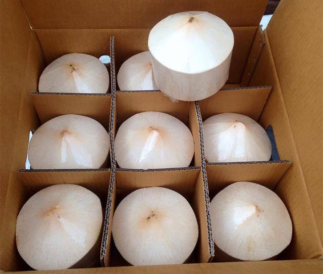 fresh coconuts officially exported to China