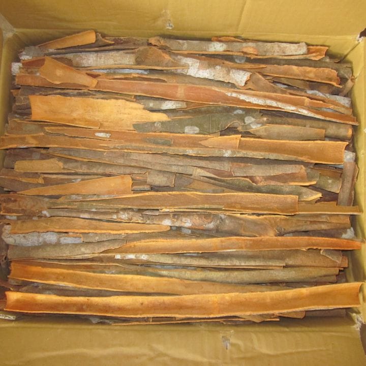 cinnamon export (2)
