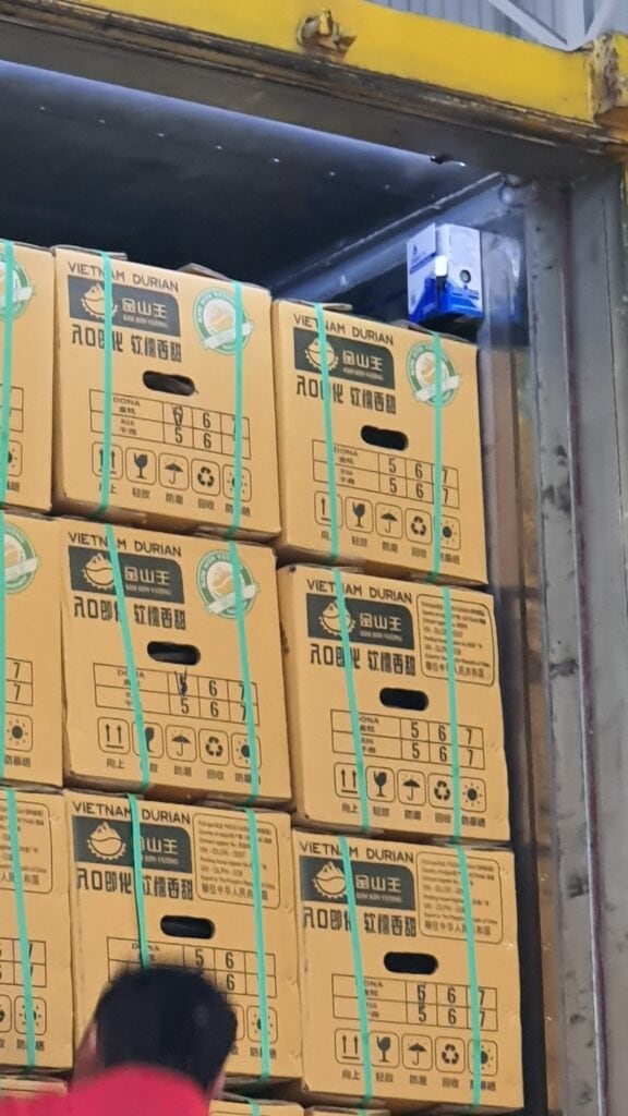 Lợi Ích Khi Sử Dụng Dịch Vụ Xuất Khẩu Sầu Riêng Chính Ngạch Sang Trung Quốc Của Embassy Freight Services (VN) Lợi Ích Khi Sử Dụng Dịch Vụ Xuất Khẩu Sầu Riêng Chính Ngạch Sang Trung Quốc Của Embassy Freight Services (VN)