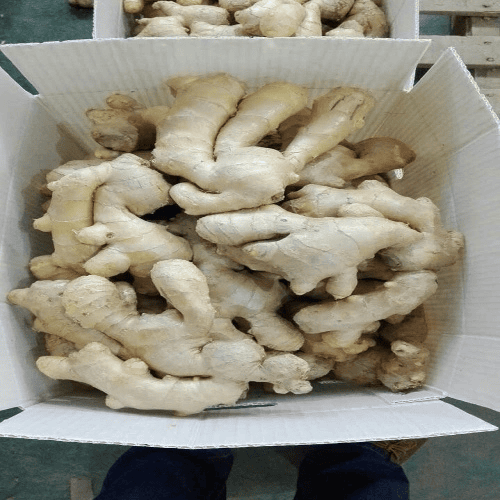 fresh ginger (2)