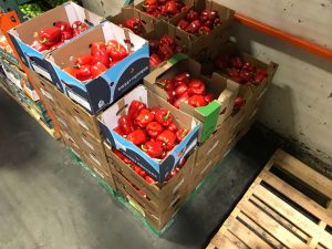 kiểm dịch thực vật xuât khẩu là gì kiểm dịch thực vật xuât khẩu là gì