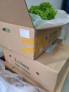bảo quản rau củ quả tươi lâu