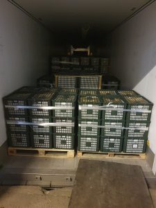 bảo quản và vận chuyển trái cây tuyến bắc nam