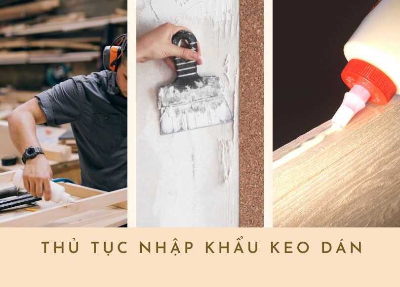 thu-tuc-nhap-khau-keo-dan