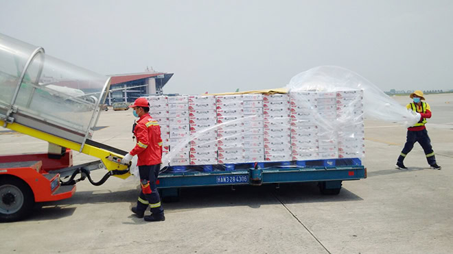 vận chuyển vải thiều đi máy bay hỏa tốc đi các tỉnh 1
