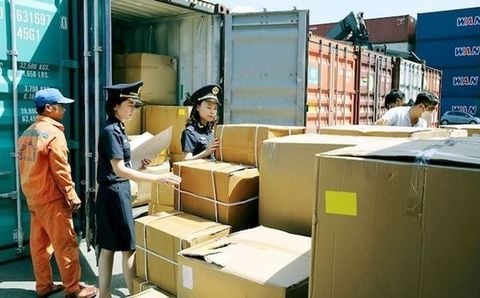dich vu cho thue phong xuat nhap khau 11 2b348545d65449e9a7b21e66da04a90d large