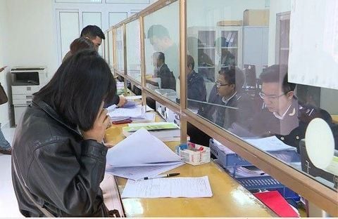 dich vu cho thue phong xuat nhap khau 25 e89afdff3b8441dfa225c2852f0275c6 large